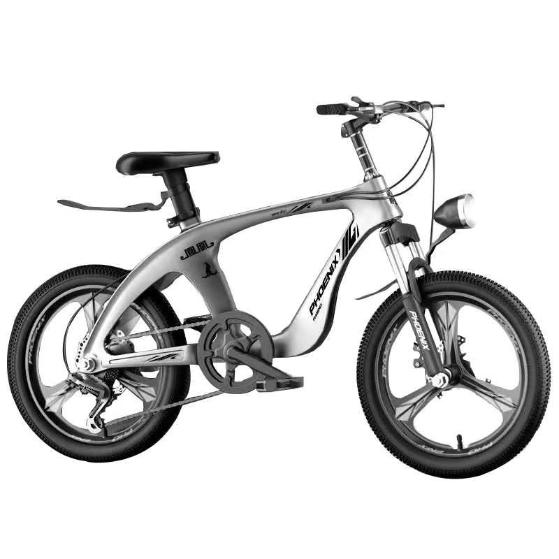 Phoenix Magnesium Alloy Childr - Mountain Biking Phoenix 评论和价格