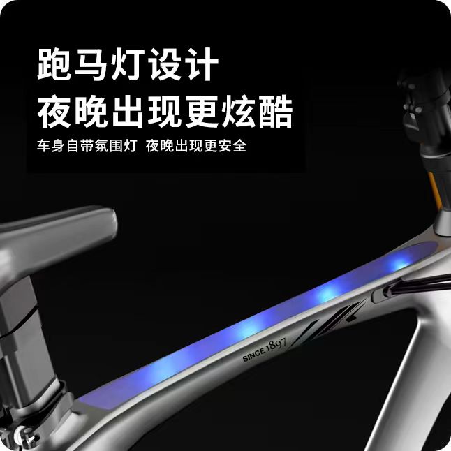 Phoenix Magnesium Alloy Childr - Mountain Biking Phoenix 评论和价格
