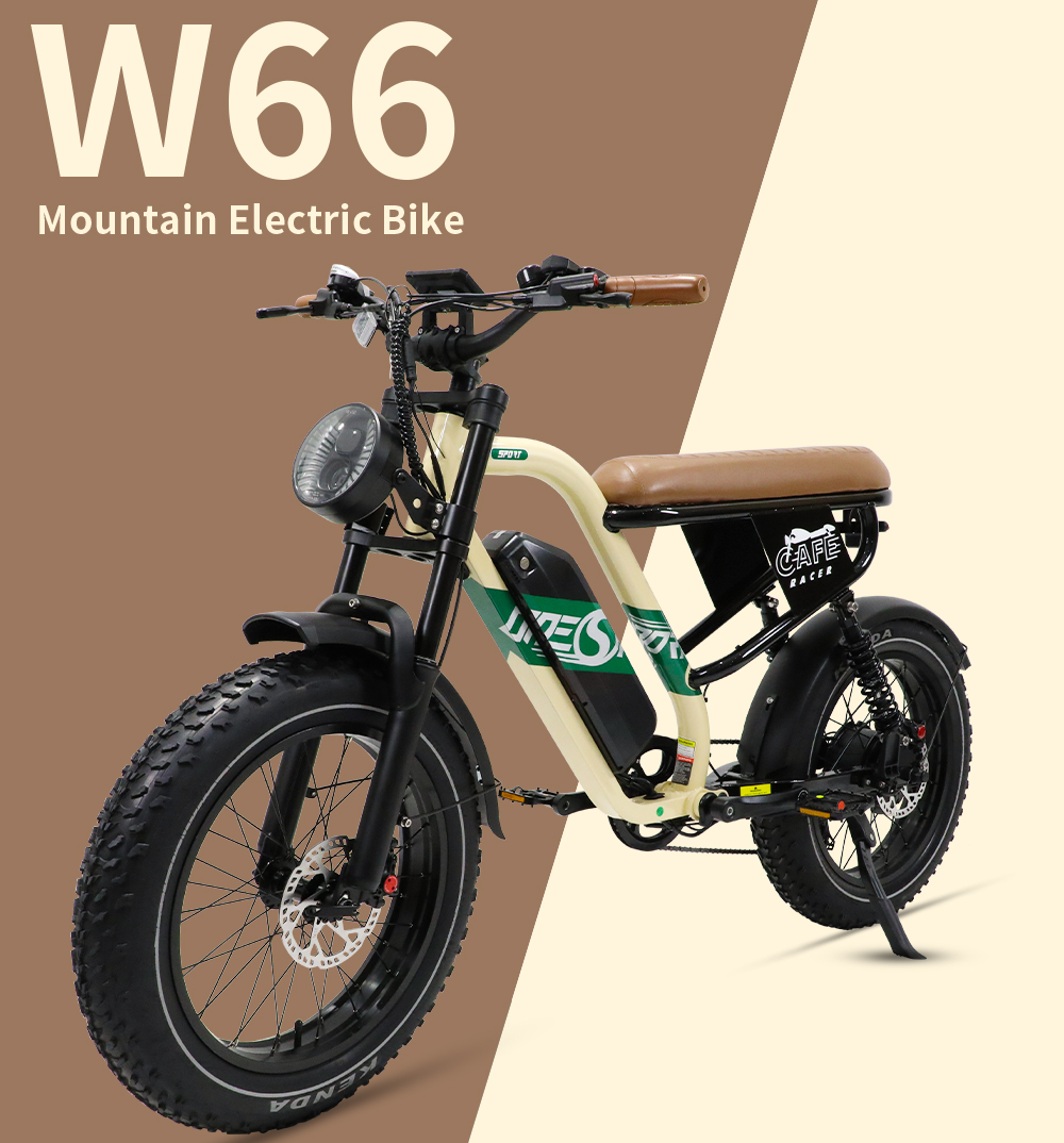 STLF Customizable Retro Electr - Mountain Biking In The Uk 评论和价格
