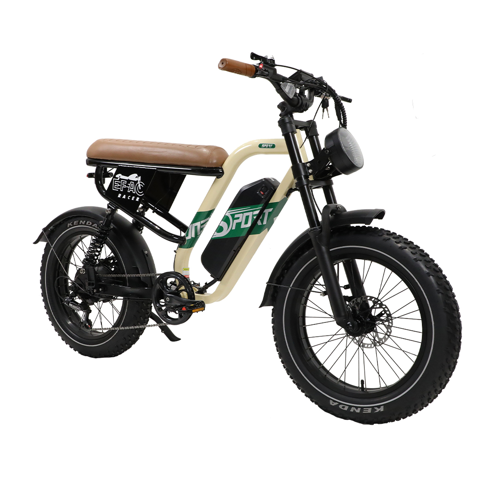 STLF Customizable Retro Electr - Mountain Biking In The Uk 评论和价格