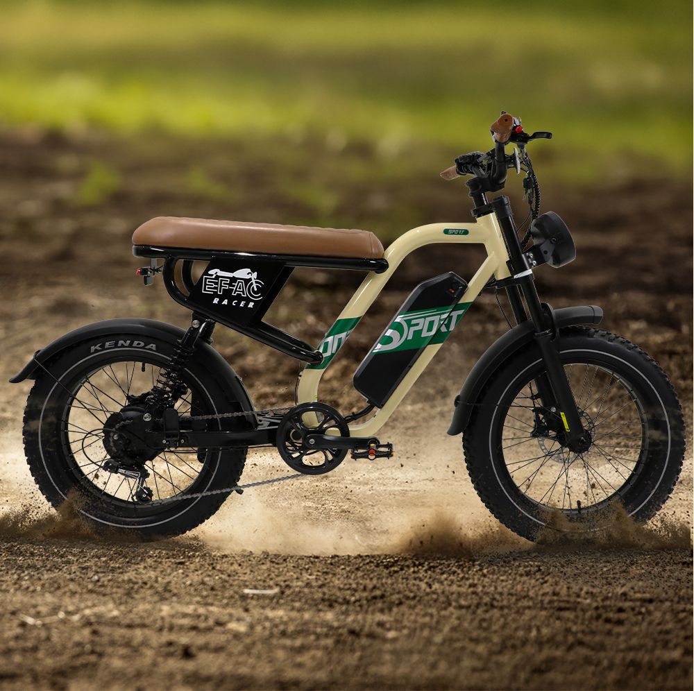 STLF Customizable Retro Electr - Mountain Biking In The Uk 评论和价格