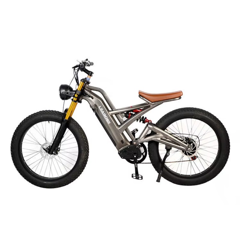 STLF Best Value  Ebike 48v 100 - Mountain Biking Near Me 评论和价格