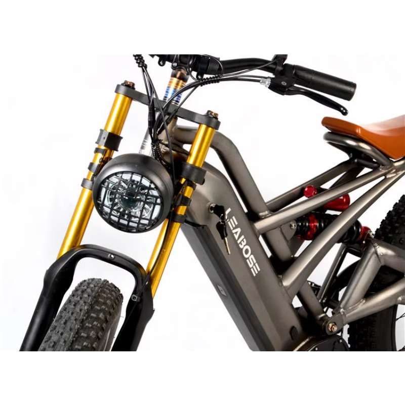 STLF Best Value  Ebike 48v 100 - Mountain Biking Near Me 评论和价格